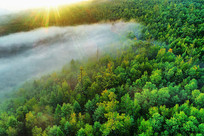 ���˰�����ɫ���ֳ������� 