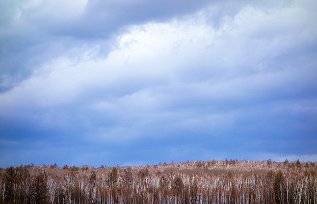 �����ַ��