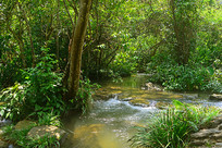 ������С�߿�ɽ����ˮ