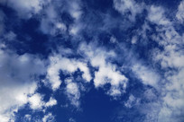 ������Ʒ羰