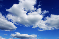 �����Ʋ�