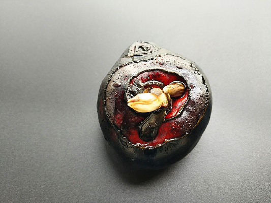 ��������-ݩ��