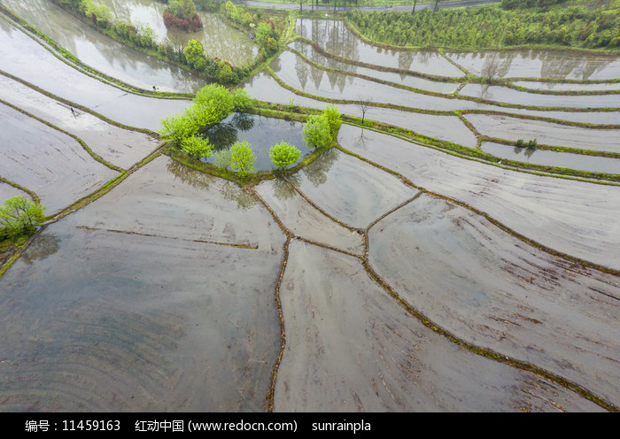 平整好的水田图片