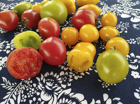 �߹�ͼƬ-С����