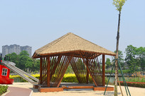 �ɶ���̲��԰��ͤ