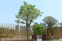 �ɶ���̲��԰ɳ̲Ӿ������ǽ 