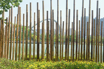 �Ĵ��ɶ���̲��԰ɳ̲Ӿ����ǽ 