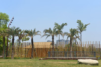 �Ĵ��ɶ���̲��԰��ǽ