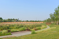 �ɶ�G42����к�ʪ�ع�԰ 