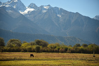 ��ԭ���ߴ�ݵ�