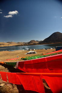 ��ᦱ鲼��˼������