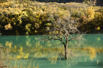 �������֥