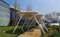 ���쾰������