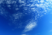 ������Ʒ��