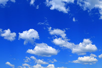 ������Ʒ羰