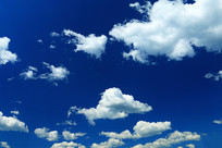 ������ƾ���