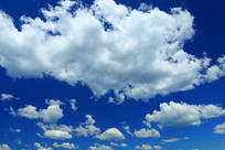 �����ƶ�