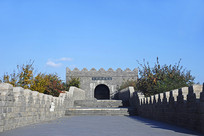 ���Ǳ���