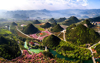 ����¥���� 