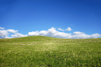 ������ɫ���� 