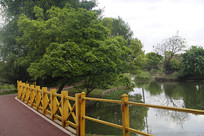 ��԰�̵ؾ���