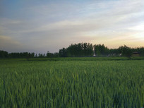 ������ɫ����