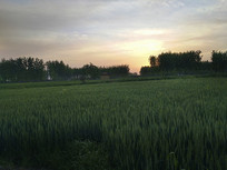 Ϧ���µ�����