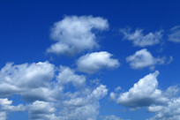 ������Ʒ��