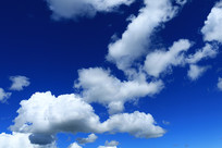 ������Ʒ羰