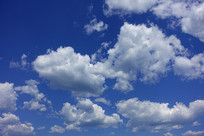 �����ƶ�