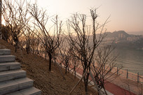 ��Ͽˮ��֮��ɽ�³ǿⰶֲ��