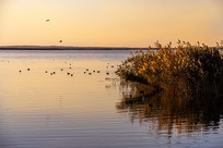 ��ɫ�ľ��Ӻ�ͼƬ