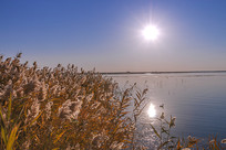 ���Ӻ�«έ��ͼƬ