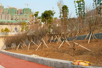 ��Ͽˮ��֮��ɽ�ⰶ�̻�Ч��