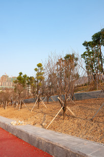 ��Ͽˮ��֮��ɽ�ⰶ��ɫ��̬