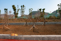 ��Ͽˮ��֮��ɽ�ⰶ��ľ����