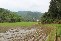 ��������Ұ