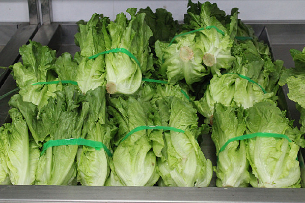 �л�����