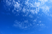 ���˰����������