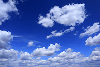 ������Ʒ��