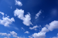 ��հ��ƶ��