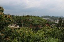 ��ɽ�﷿��