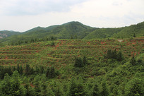 ��ɽ�����ӹ�԰