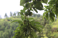 ��������������