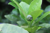 �����׹���д