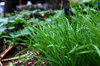 ���ڳɳ��ľ²�