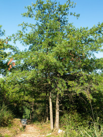 Ұ��������������