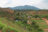 ������ȿ�����԰