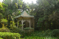 ����԰��԰ -�����е���Ũ���� 