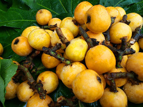 �ʹ�����